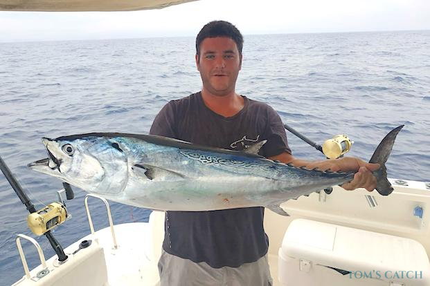 Thonine fischen