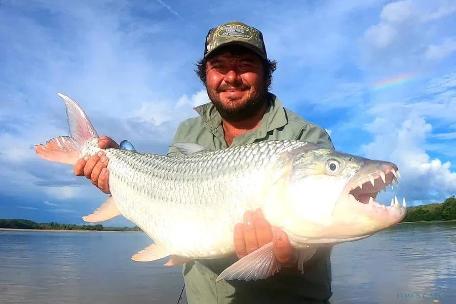 Tanzanian TigerFish Adventures
