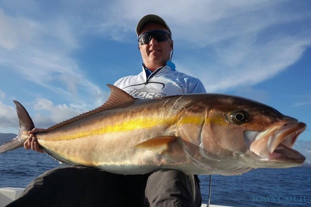 Amberjack fishing