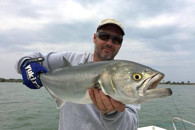Bluefish fishing