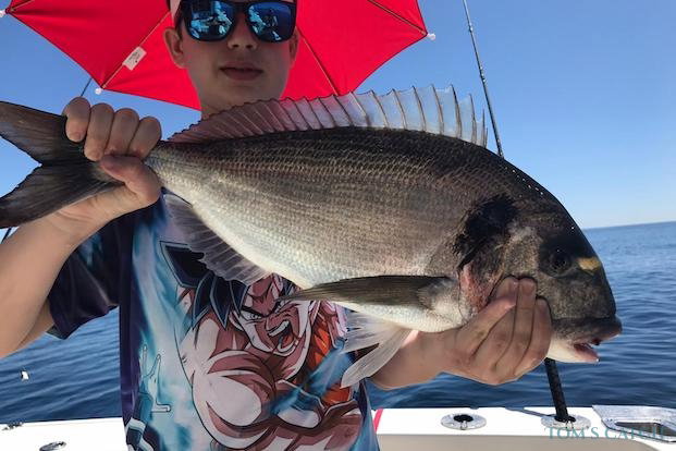 Gilt-head Bream fishing