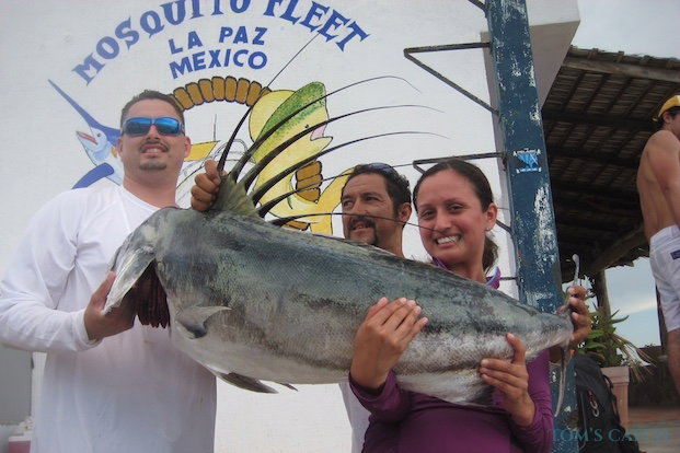 Papagallo fishing
