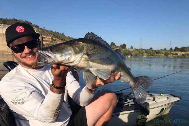 Pikeperch fishing