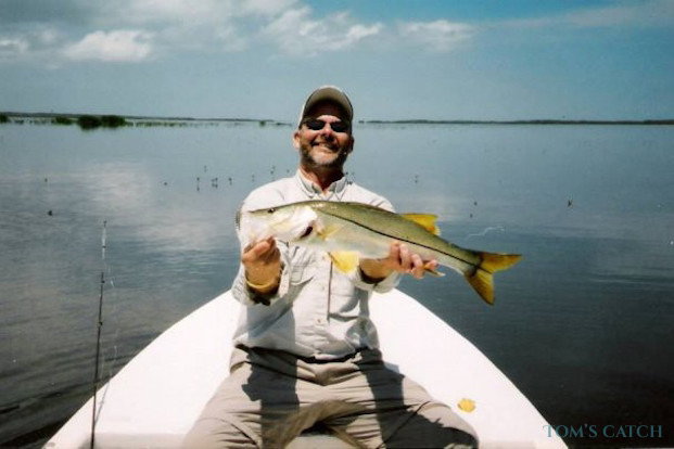 Snook fishing