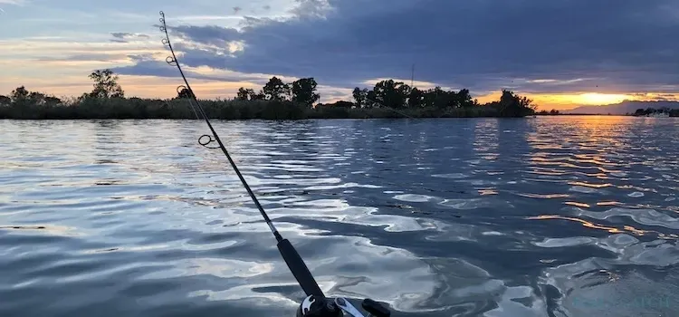 Fishing area Ebro Delta