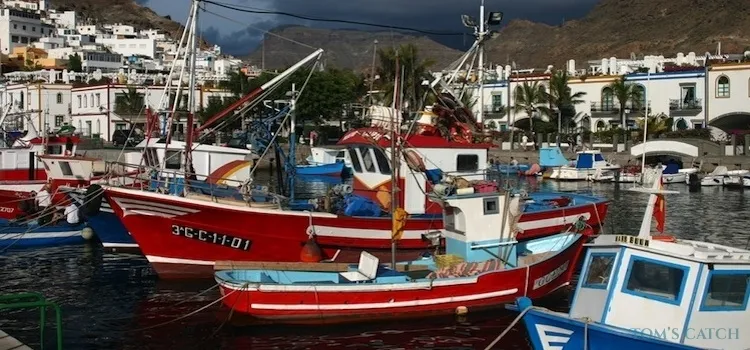 Fishing area Tenerife
