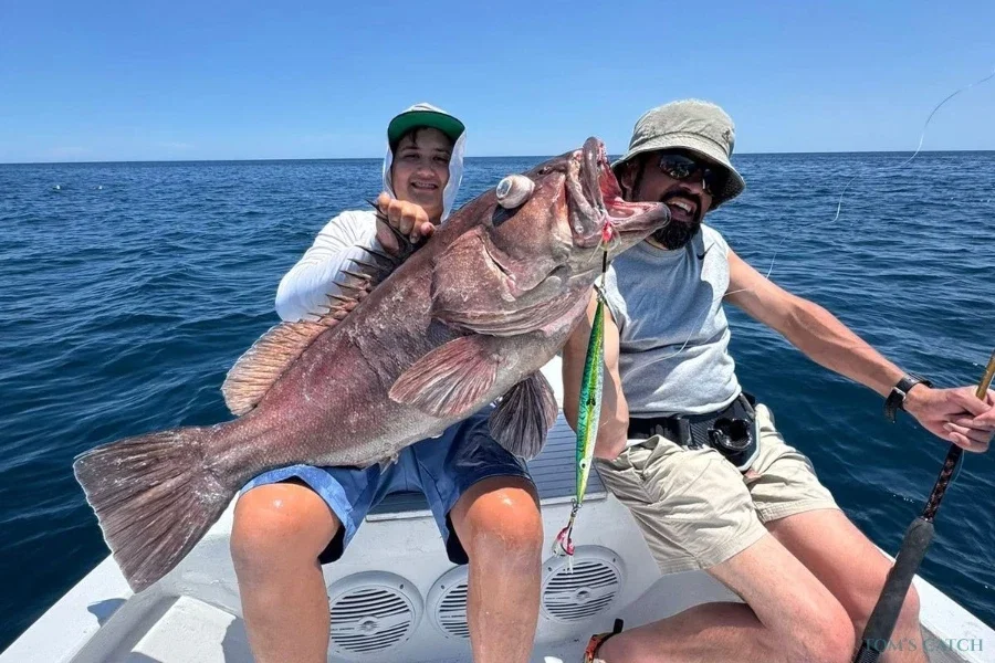 Alejandro
