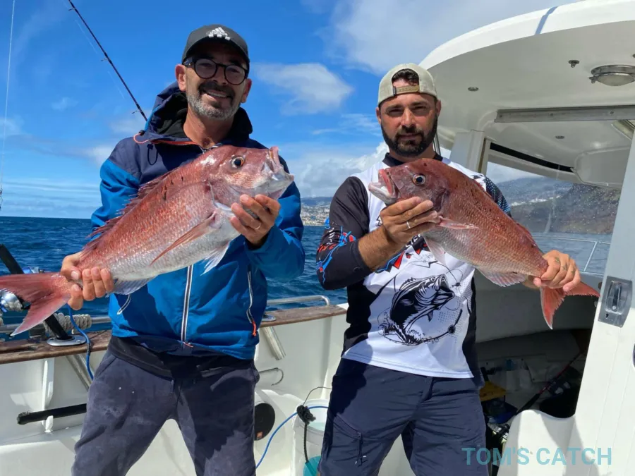Fishing Family - Ponta Calhau II
