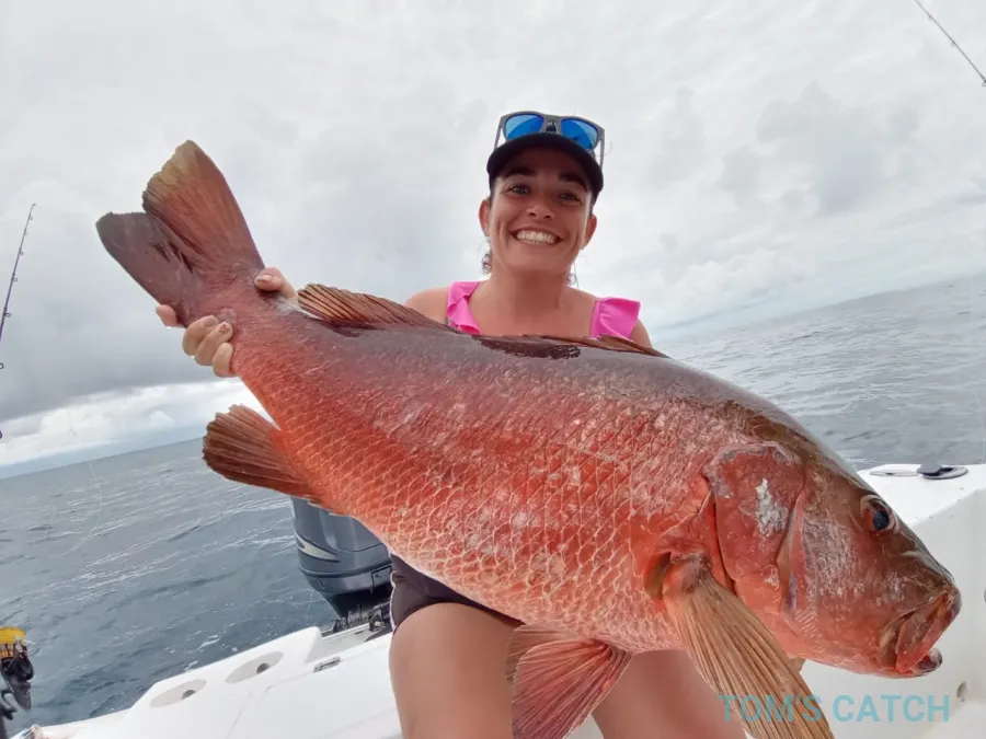GOOD CATCH I