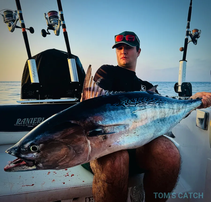 Island Fishing Malta