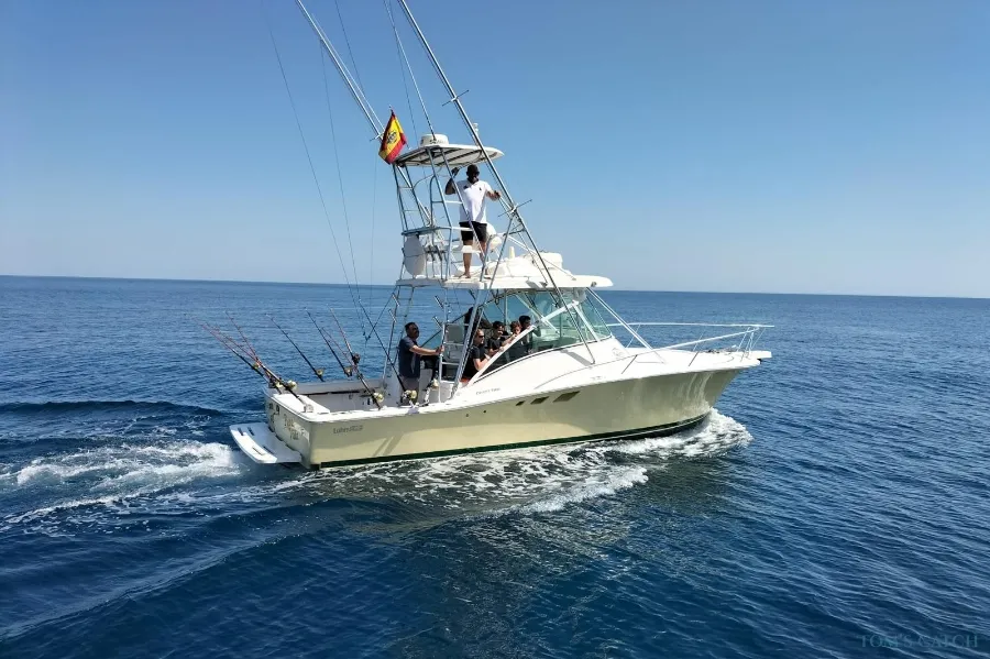 Luhrs 32 