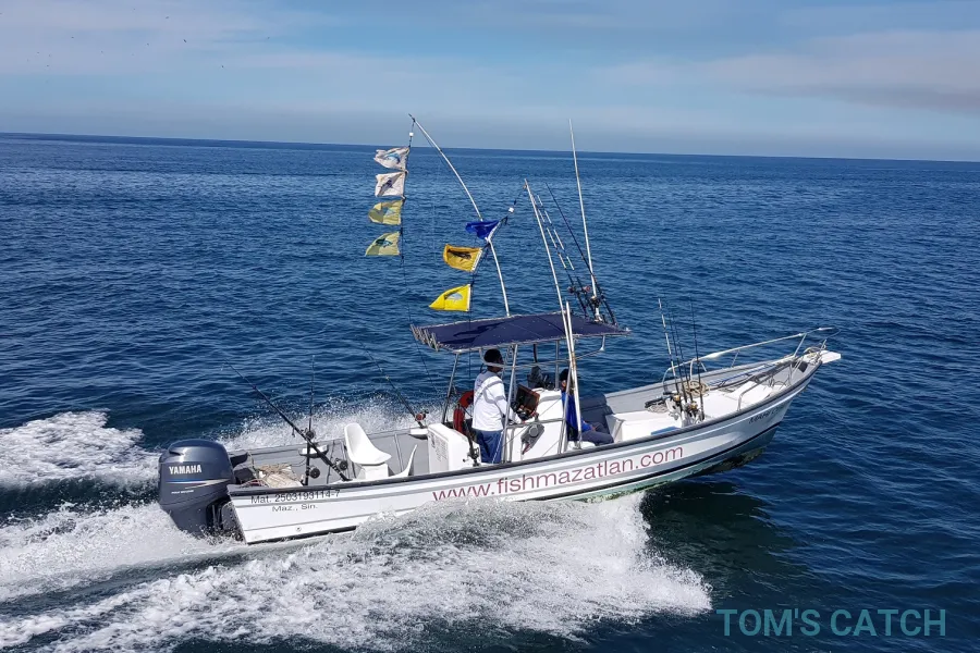 Mahi Dreamer