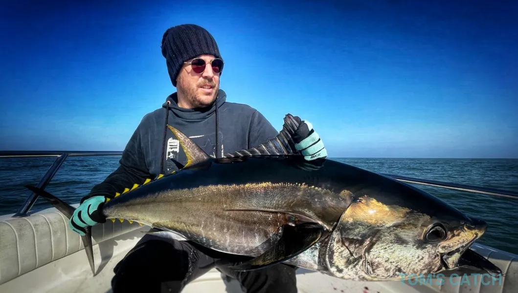 Monsellato Master 730