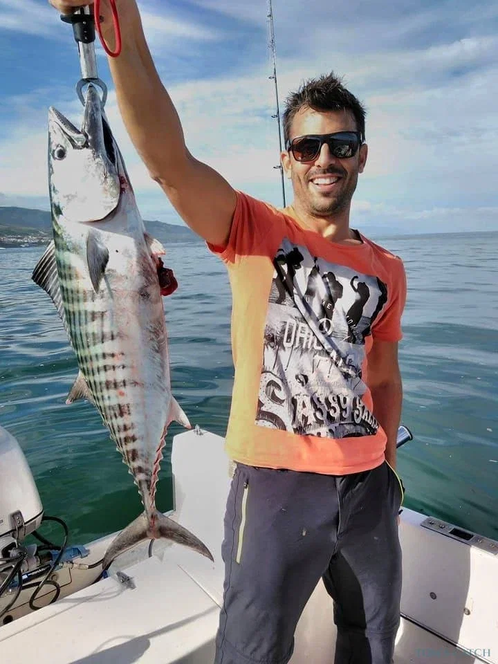 North Shore Sea Tours