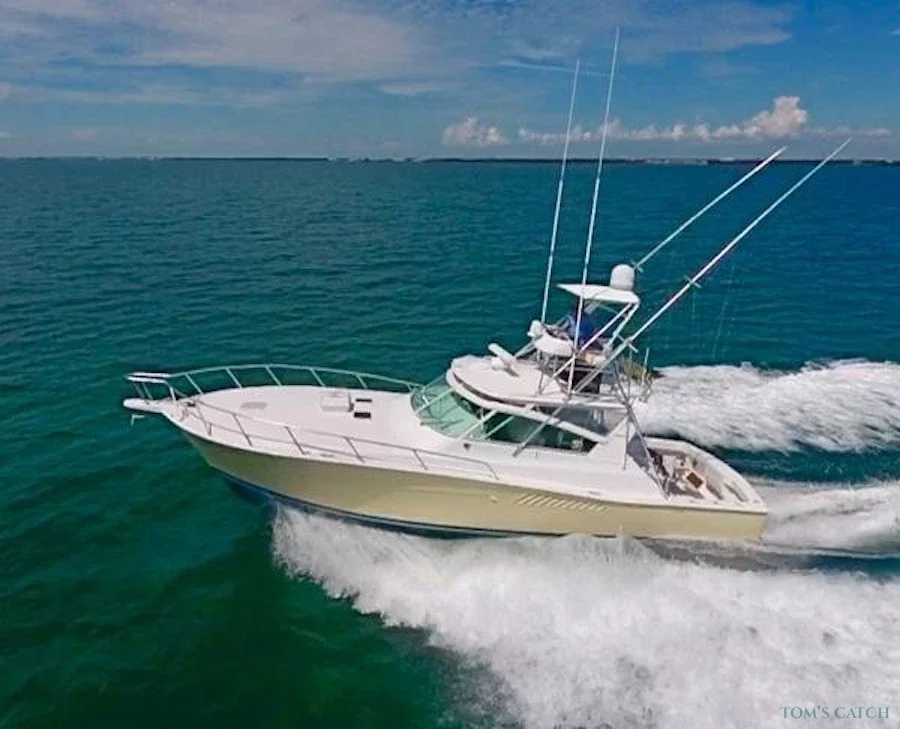 Wasabi 45 Viking Express