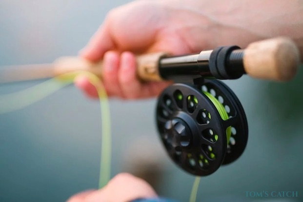 Pesca com mosca