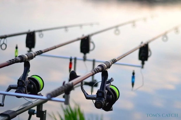 Pesca da carpa