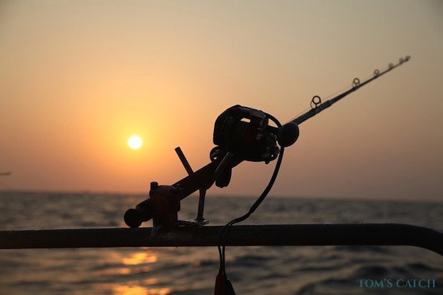 Pesca de alto mar