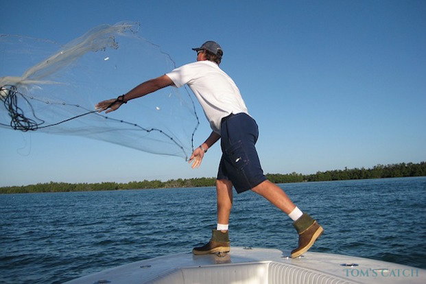 Pesca con vivo