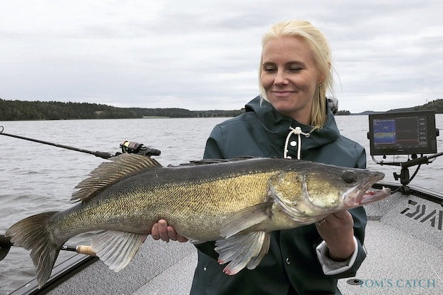 Tiro al blanco pelágico