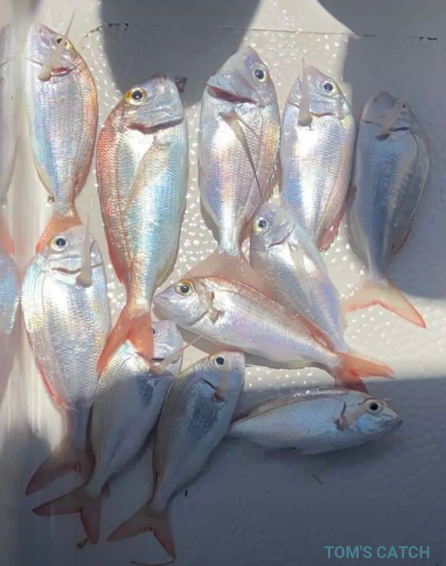 Fishing adventure