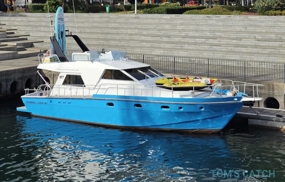 Fishing Family - Iate