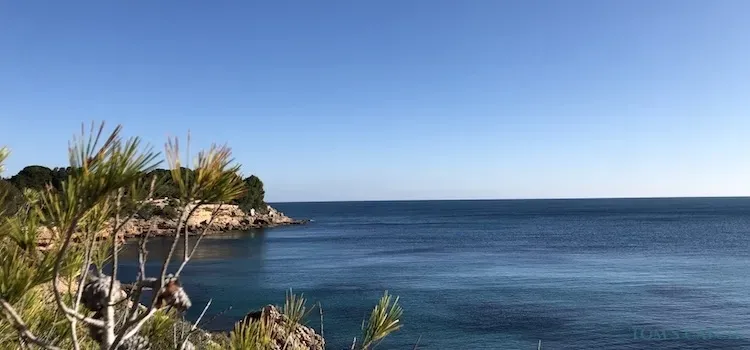 Ametlla de Mar visgebied