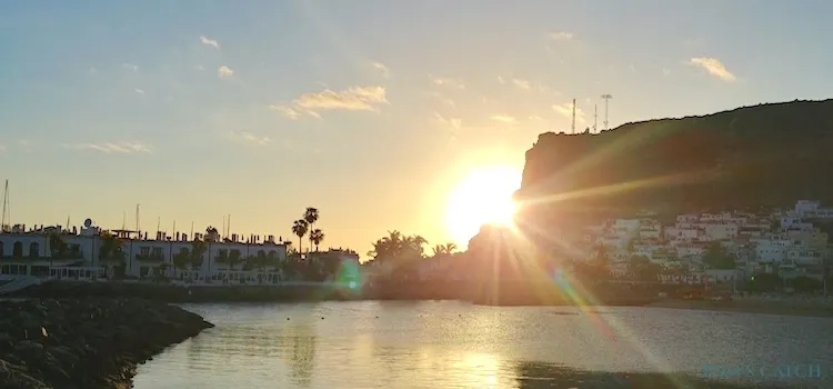 Gran Canaria visgebied