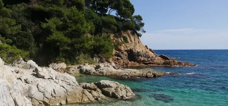 Palamos visgebied