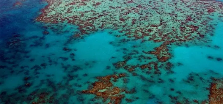 Queensland visgebied