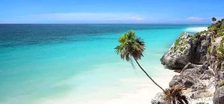 Riviera Maya visgebied