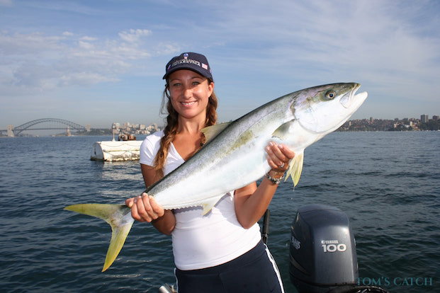 Yellowtail Kingfish vissen