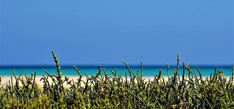 Zona de pesca Fuerteventura