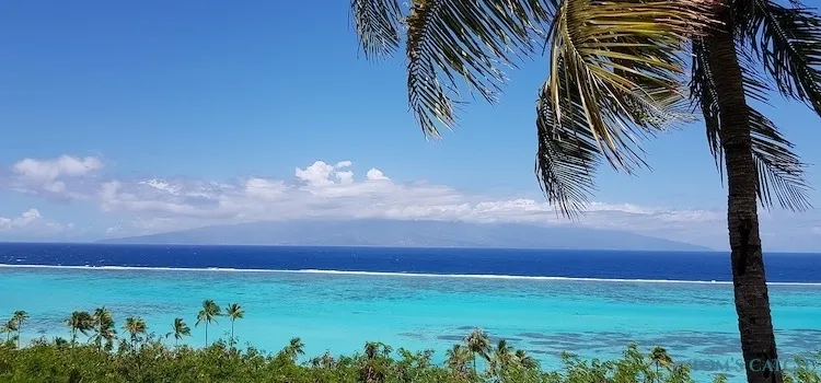 Zona de pesca Moorea
