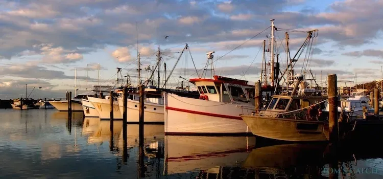 Zona de pesca Nueva Gales del Sur