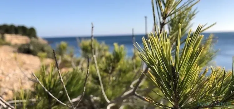 Sardegna zona di pesca